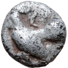 Tritartemorion