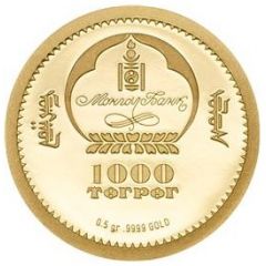 1000 Tögrög Ammonite