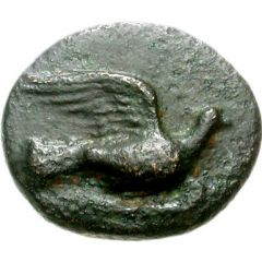 Chalkon