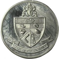 Token - Gates Mystery Car Winner 1967