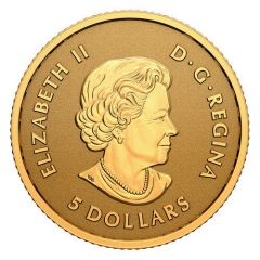 5 Dollars In the name of Elizabeth II, GML fractionnal set, 1⁄10 oz