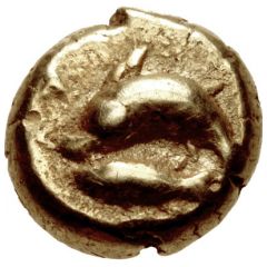 Hemihekte