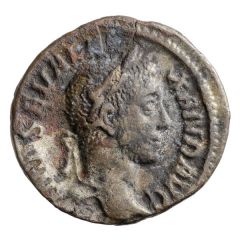 Denarius - Severus Alexander P M TR P VIII COS III P P, Annona
