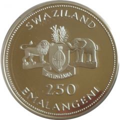 250 Emalangeni Ligwalagwala Bird