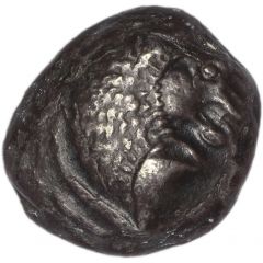 Stater