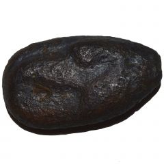 Onkia