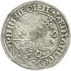 1 Schaf - Edzard I