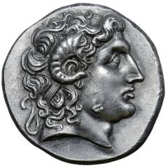 Tetradrachm - Lysimachos