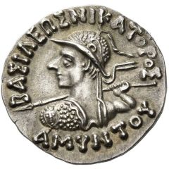 Drachm - Amyntas
