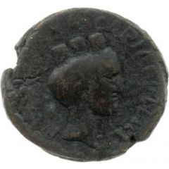 Æ15 - Herod Agrippa II