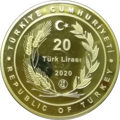 20 Lira Grand Hagia Sophia Mosque, gold plated
