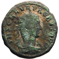 Antoninianus - Probus CLEMENTIA TEMP