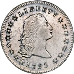 1 Dollar `Flowing Hair Dollar`