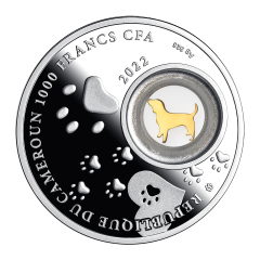 1000 Francs French bulldog
