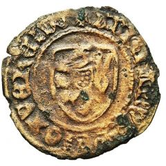 4 Mites - Adrian de Gaveren