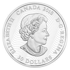 30 Dollars - Elizabeth II Snowy Owl
