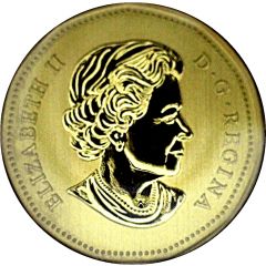1 Dollar - Elizabeth II Burrowing Owl