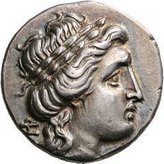 Drachm - Poly[...]