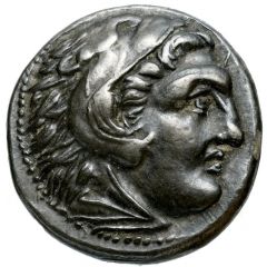 Drachm In the name of Alexander III, Lampsakos