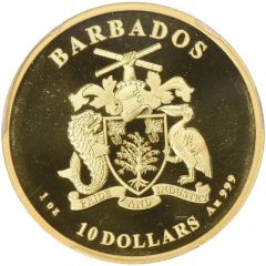 10 Dollars Pelican