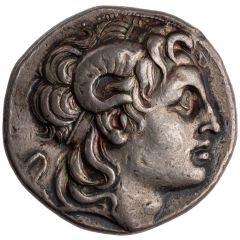 Tetradrachm - Lysimachus Cius