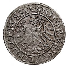Szeląg elbląski - Sigismund I the Old Elbląg mint