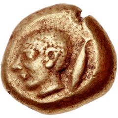 Stater
