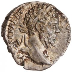 Denarius - Septimius Severus MVNIFICENTIA AVG