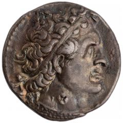 Tetradrachm - Ptolemy II Alexandria