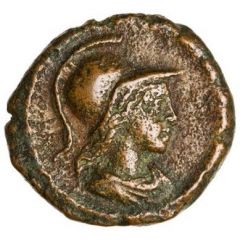 Quadrans - Anonymous S C, Minerva