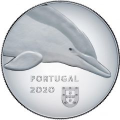 5 Euros The dolphin