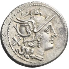 Denarius Rudder, ROMA