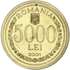 5000 Lei Pattern