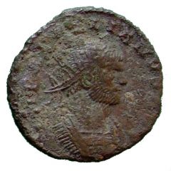 Antoninianus - Aurelianus VICTORIA AVG, Victory