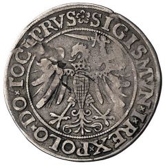 Szóstak elbląski / 6 Groszy - Sigismund I the Old Elbląg mint