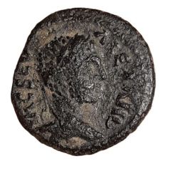 Æ16 - Severus Alexander ANTIOCH COL