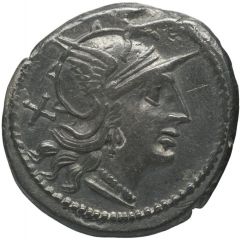 Denarius Maiania: Caius Maianius, C·MAIANI ROMA