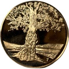 Medal - Jewish People`s History Mount of Olives