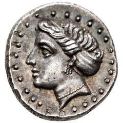 Drachm - Karpo...