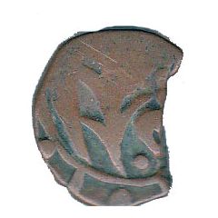 1 Falus - Bahawalpur