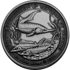 20 Lira Sturgeon