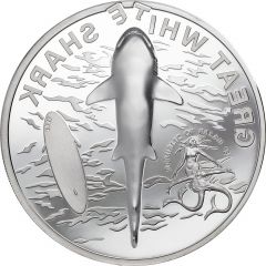 5 Dollars Great White Shark