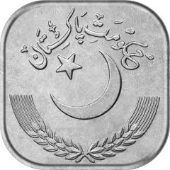 50 Paisa Pattern