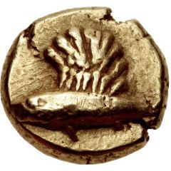 Hemihekte