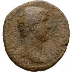 Dupondius or As - Hadrian ADVENTVS AVG S C, Roma