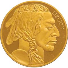 50 Dollars - Buffalo Tribute