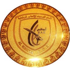 Medal - Al Wahda Club Company for Sports Games
