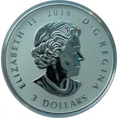 3 Dollars - Elizabeth II Rodeo