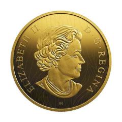 100 Dollars - Elizabeth II Into the Light - Lion