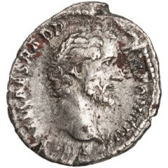 Denarius - Antoninus Pius AVG PIVS P M TR P COS II